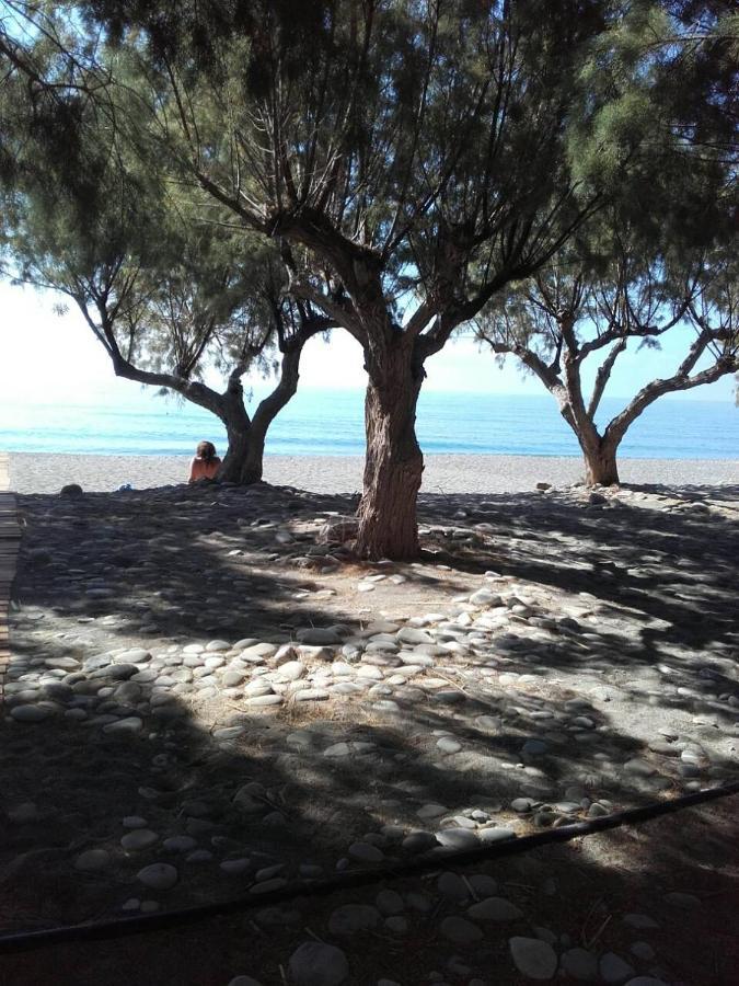 Pericles Traditional Cretan Home Stavrokhorion Екстериор снимка