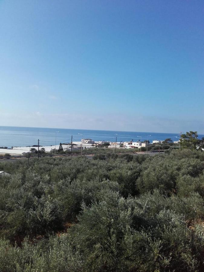 Pericles Traditional Cretan Home Stavrokhorion Екстериор снимка